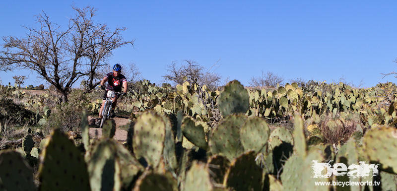 cactus garden at the top of the climb